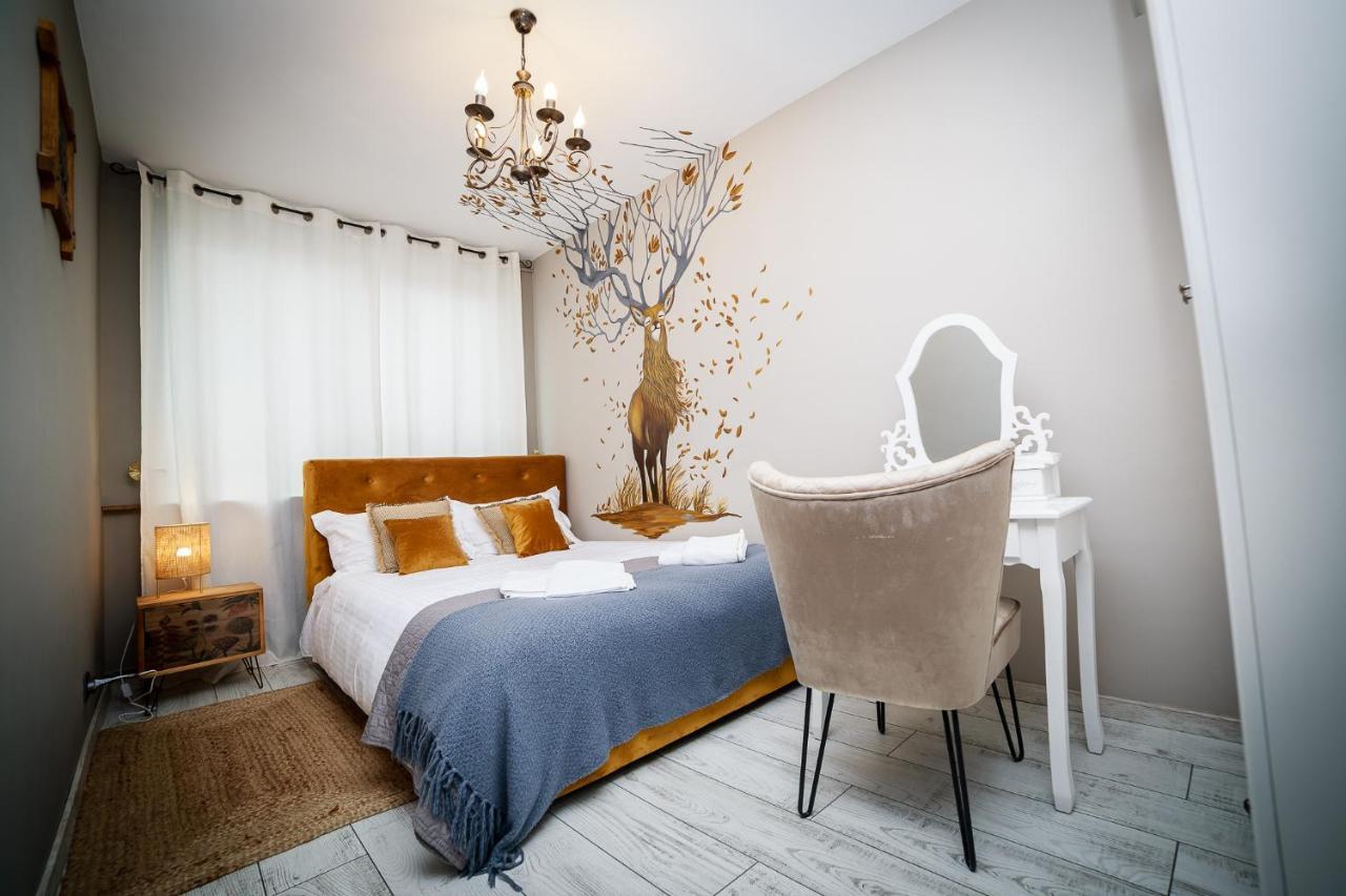 קאמפולונג מולדובנסק Exquisite 3 Room Apartment In The Heart Of Thetown מראה חיצוני תמונה